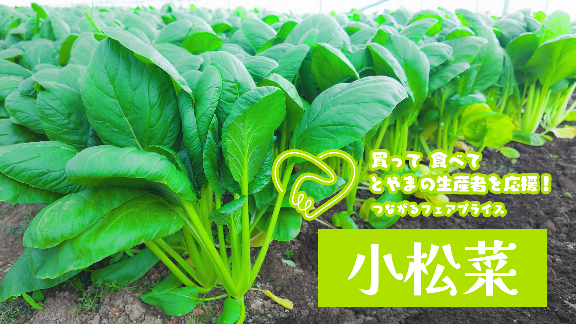 買って 食べて とやまの生産者を応援！