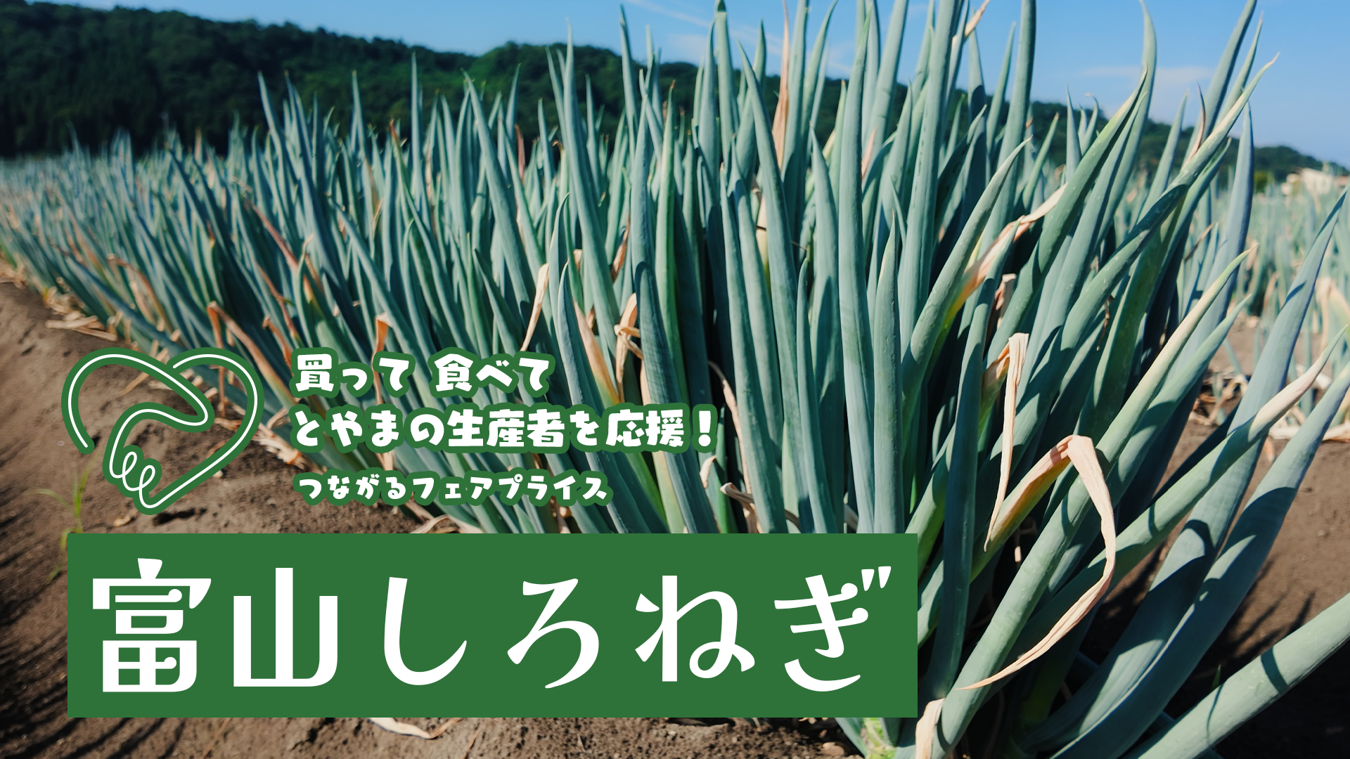 買って 食べて とやまの生産者を応援！